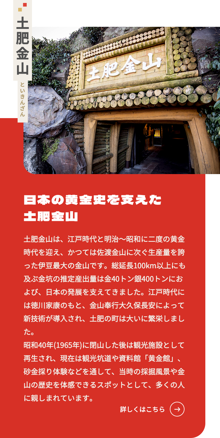 土肥金山 といきんざん