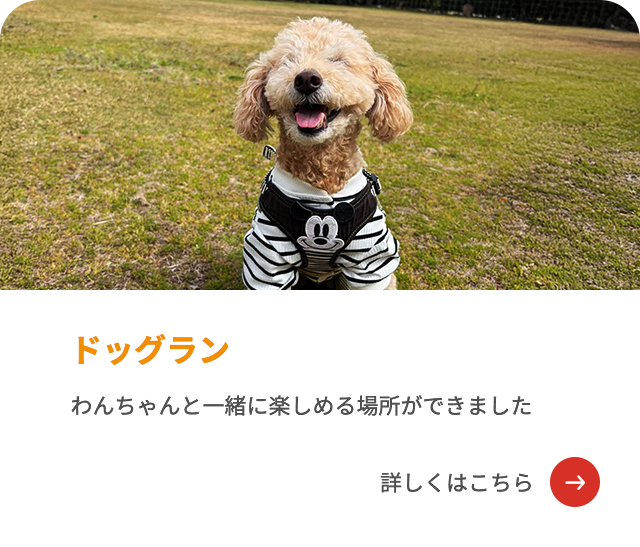 ドッグラン