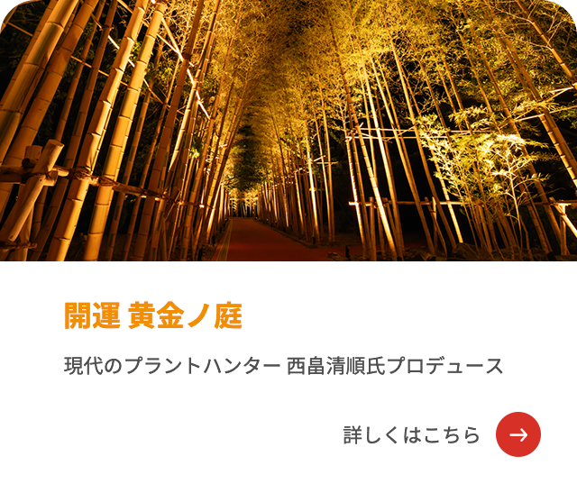 開運 黄金ノ庭